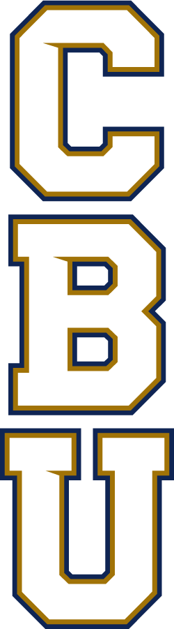 California Baptist Lancers 2017-Pres Wordmark Logo v2 diy DTF decal sticker